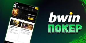 Article Card Image for Bwin Poker